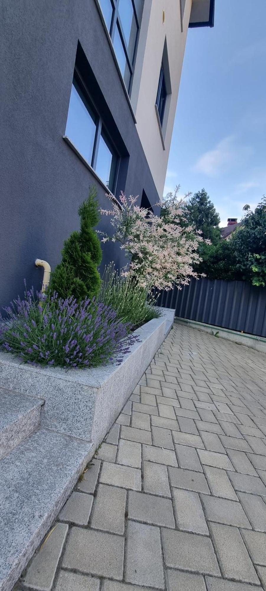 Yla Studio- Piatra Neamt Piatra Neamţ Exterior foto